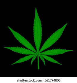 Cannabis leaf on black background

