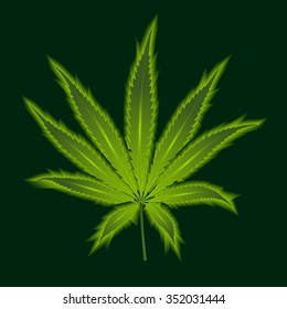 Cannabis leaf on a green background