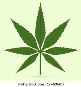 Cannabis leaf on light green background