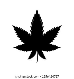 Cannabis leaf on white background. Illegal drug natural plant to smoke. Marijuana herbal narcotic cannabis.