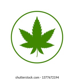 Cannabis leaf on white background. Illegal drug natural plant to smoke. Marijuana herbal narcotic cannabis.