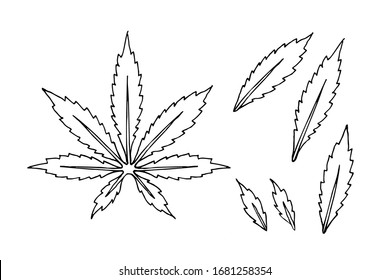 Diseño de hojas de cannabis y folletos sobre el contorno negro del fondo blanco. Dibujo manual de cáñamo.Puede utilizarse para alimentos, bebidas, industria farmacéutica, patrones, plantillas, anuncios, fondos.Vector