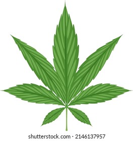 Cannabis leaf on white background illustration