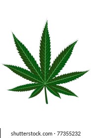 Cannabis leaf. On a white background depicts a green leaf of hemp.