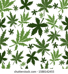 Cannabis leaf pattern. Green cannabis leaves on white background. Vector illustration in flat cartoon minimalist style.
