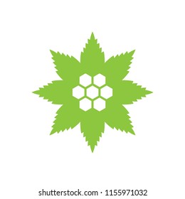 Cannabis Leaf pattern with hexagonal CBD.logo icon vector.