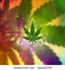Cannabis leaf and sacred geometry forms on wonderful photography background with marijuana plant; Vector template of banner, poster, flyer and etc.