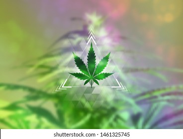 Cannabis leaf and sacred geometry forms on wonderful photography background with marijuana plant; Vector template of banner, poster, flyer and etc.