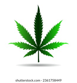 Cannabis leaf with shadow isolated on white. Vector illustration
