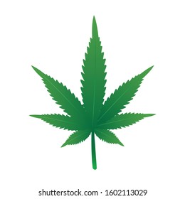 Cannabis leaf sign illustration. Vector. Green isolated on white background.