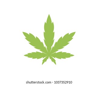 Cannabis Leaf Sign Symbol Icon Logo Vector