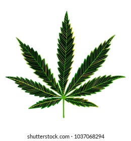 Cannabis leaf, sketch for your design