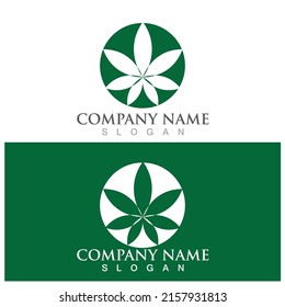 cannabis leaf symbol and icon vector