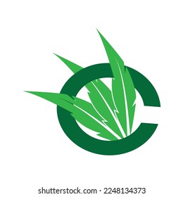 cannabis leaf symbol and icon vector