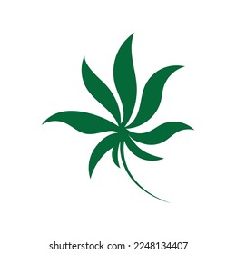 cannabis leaf symbol and icon vector
