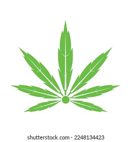 cannabis leaf symbol and icon vector
