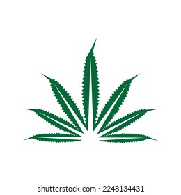 cannabis leaf symbol and icon vector