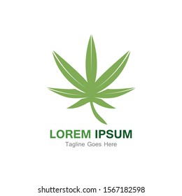 Cannabis leaf template vector illustration icon design