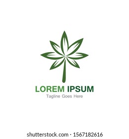 Cannabis leaf template vector illustration icon design