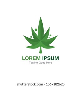 Cannabis leaf template vector illustration icon design