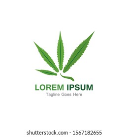 Cannabis leaf template vector illustration icon design