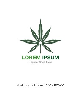 Cannabis leaf template vector illustration icon design