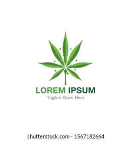 Cannabis leaf template vector illustration icon design