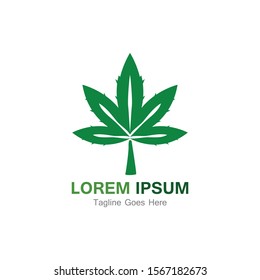 Cannabis leaf template vector illustration icon design