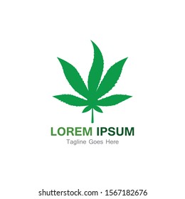 Cannabis leaf template vector illustration icon design