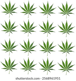 Cannabis leaf tip, green
White background