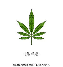 Hoja de cannabis. Ilustración de dibujos animados. Objeto aislado en blanco. Estilo dibujado a mano.