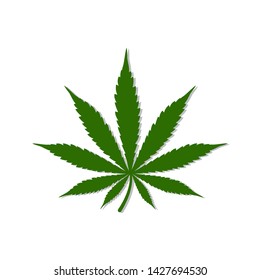 Cannabis leaf vector design with white background
