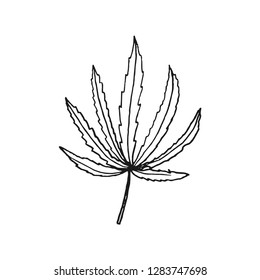 cannabis leaf vector doodle sketch isolated on white background
