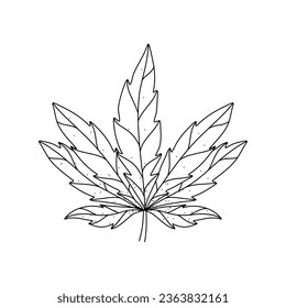 Esbozo de doodle vectorial de hoja de cannabis aislado en fondo blanco