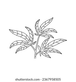 Cannabis leaf vector doodle sketch isolated on white background