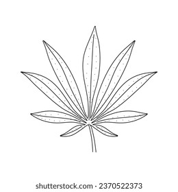 Cannabis leaf vector doodle sketch isolated on white background