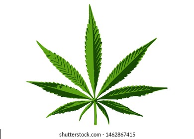 Cannabis leaf vector icon. Vector illustration