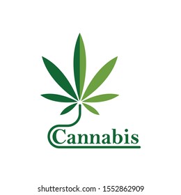 cannabis leaf vector icon illustration design template