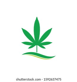 cannabis leaf vector icon illustration design template