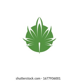 plantilla de diseño de ilustración de icono de hoja de cannabis