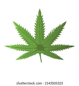 Icono vector hoja de cannabis. Símbolo de legalización de la marihuana. Signo de cannabis de medicina, planta orgánica de naturaleza vegetal. Hash, ganja cbd rasta indica sativa logo. Diseño plano aislado de fondo blanco.
