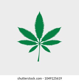 Cannabis leaf vector illustration