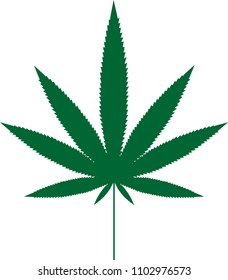 Cannabis leaf. Vector illustration