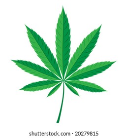 cannabis leaf. vector illustration