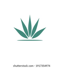 Cannabis Leaf Vector Illustration Icon Design