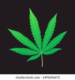 cannabis leaf vector illustration isolated on black baground