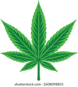 Cannabis leaf vector illustration on white background , Marijuana leaf.