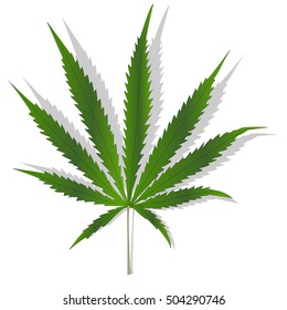 Cannabis leaf vector isolated on white background