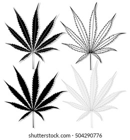 Cannabis leaf vector isolated on white background