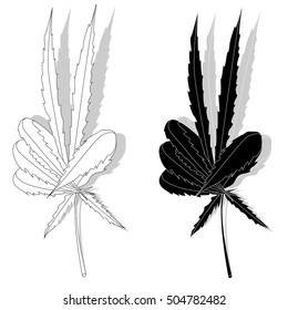 Cannabis leaf vector isolated on white background